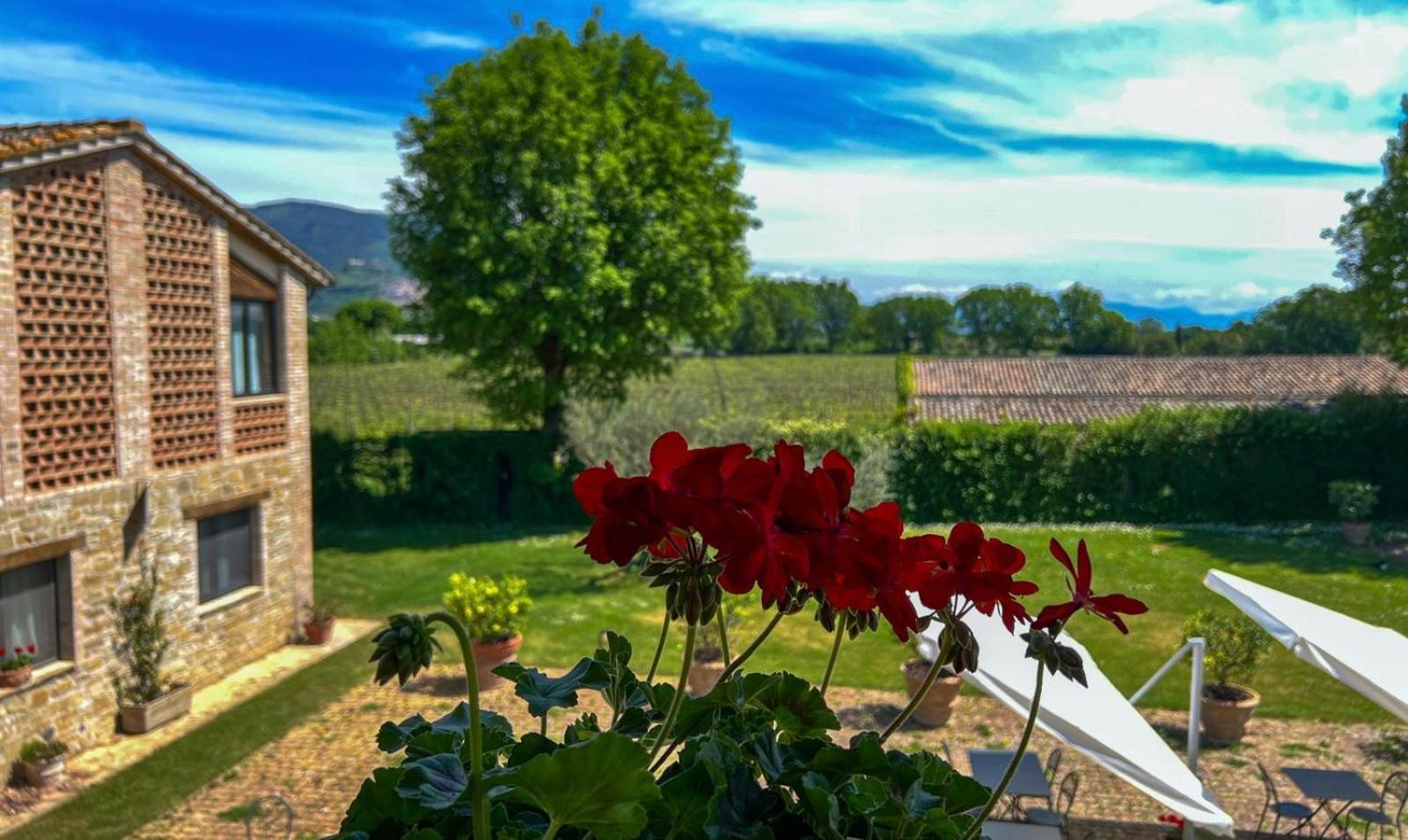 Agriturismo Podere La Fornace Assisi Exteriér fotografie
